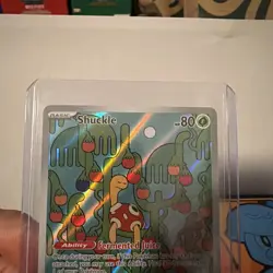 Shuckle 136/132 - Pokemon Tcg Mega Evolution Illustration Rare - Image 2