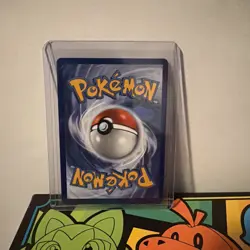 Shuckle 136/132 - Pokemon Tcg Mega Evolution Illustration Rare - Image 4