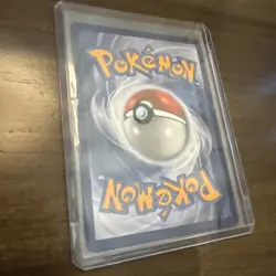 RABOOT 147/142 STELLAR CROWN POKEMON-SPECIAL ILLUSTRATION-ULTRA RARE- HOLO - Image 2