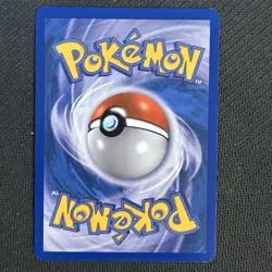 Raikou HGSS19 (2010) Black Star Promo Cosmos Holo Rare Card Pokemon TCG - Image 2