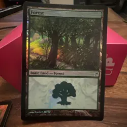 Mtg FOIL Forest NM ! - Image 1