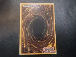 Timaeus the United Dragon MP23-EN003 Prismatic Secret Rare Yugioh Card NM - Image 2