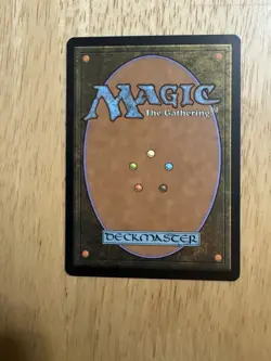 Soul Warden Core Set 2010 (M10) Regular - Image 2