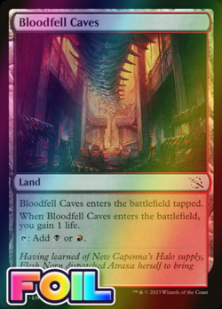 x1 Bloodfell Caves MOM MTG 0267 FOIL LIFE LAND M/NM 1x - Image 1