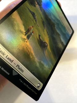 MTG Plains FOIL Universes Beyond: Jurassic World Collection 21 NM - Image 3