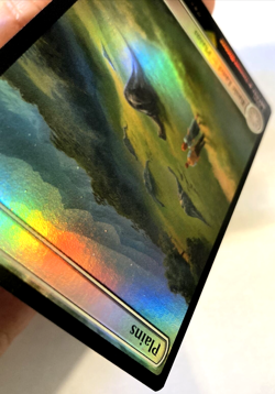 MTG Plains FOIL Universes Beyond: Jurassic World Collection 21 NM - Image 5