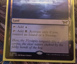 Gloomlake Verge Duskmourn: House of Horror Regular mtg NM Dual Land - Image 2