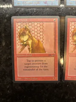 MTG Arabian Nights Unstable Mutation, Hurr Jackal - Image 4