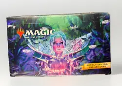 MTG Wilds of Eldraine Set Booster Box – Factory Sealed - Image 1