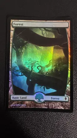 Forest (246) - Full Art Zendikar Foil LP - Image 1
