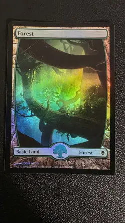 Forest (246) - Full Art Zendikar Foil LP - Image 2