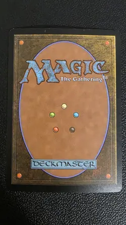 Forest (246) - Full Art Zendikar Foil LP - Image 3