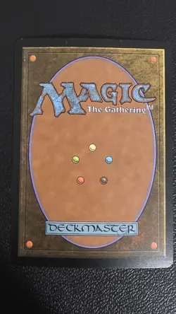 Forest (246) - Full Art Zendikar Foil LP - Image 4
