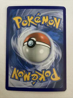 Grookey 011/202 (Premium Collection) Holo Promo Mint Pokemon Card - Image 2