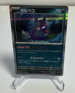 Morpeko Holo Rare Terastal Festival 098/187 NM Pokemon TCG Card Japanese - Image 1