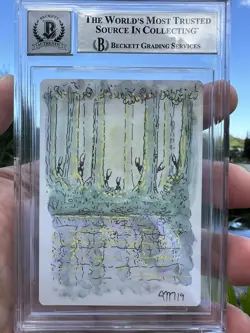 WILL-O'-THE-WISP, ARTIST PROOF, REVISED, 1994 MTG, JESPER MYRFORS, BAS 9 - Image 2