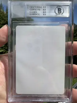 SHIVAN DRAGON, ARTIST PROOF, 4TH ENGLISH, 1995 MTG, MELISSA BENSON, 50 PRINTED! - Image 2