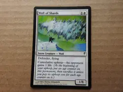 Wall of Shards NM/LP [Coldsnap] #1 Mtg Magic Free Tracking! - Image 1