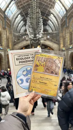 Pokemon x Natural History Museum Pikachu Jumbo Promo Card + plushie bundle - Image 3