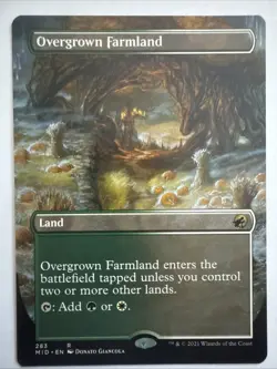 Overgrown Farmland (Borderless) Innistrad: Midnight Hunt Regular - Image 1