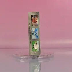 BATTLE PARTNERS POKEMON DISPLAY 2025 JAPANESE OVP SEALED 2 - Image 2