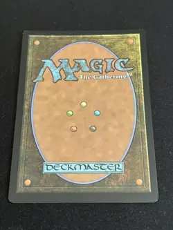 1x Plains (Full Art, Foil) - Unsanctioned (UND) Magic MTG - Image 2