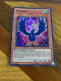 Unibird DREV-EN012 Unlimited Edition Super Rare LP + BONUS - Image 1