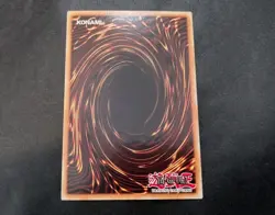 Timaeus the United Dragon BACH-EN003 Ultra Rare 1st Edition Yugioh Card NM - Image 2