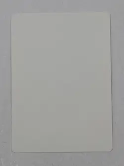 MTG Artist Proof Trade Caravan Homelands Signed by Kaja Foglio - Image 2