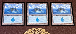 Portal Island #200 Vintage Magic Portal MTG Excellent condition - Image 2