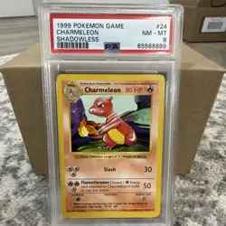 Pokemon 1999 Base Set Shadowless Charmeleon PSA 8 #24/102 Regular English TCG - Image 1