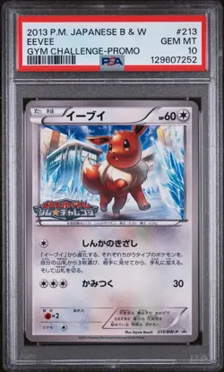 Pokemon | Eevee Gym Challenge Promo 213 BW-P 2013 | PSA 10 Mint - Image 1