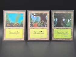 Collector's Edition Basic Land Set of 15 all versions NM/Mint *CCGHouse* #WM - Image 2