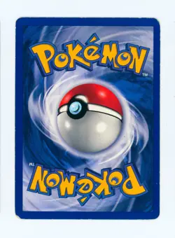 1999 Machamp Pokemon Base Set #8 1st Edition English Holo Pokemon TCG Card - Image 2
