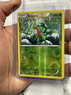 Grovyle 7/116 NM Uncommon Reverse Holo Plasma Freeze Pokemon Card Near Mint TCG - Image 2