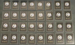 Magic Pro Tour 1996 NYC Eric Tam- 63 Cards MISSING MOST SIDEBOARD MTG - Image 3