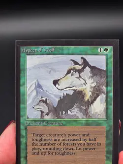 Aspect of Wolf Misprint Light Border Collector's Edition CE NM/Mint CGHouse #WM - Image 3