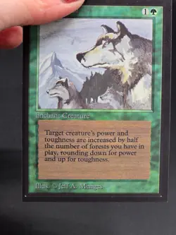 Aspect of Wolf Misprint Light Border Collector's Edition CE NM/Mint CGHouse #WM - Image 4