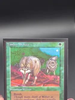Timber Wolves - Collector's Edition CE Beta Reprint NM/Mint *CCGHouse* #WM - Image 3