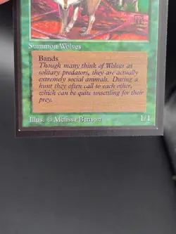 Timber Wolves - Collector's Edition CE Beta Reprint NM/Mint *CCGHouse* #WM - Image 4