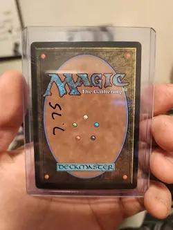 Floodfarm Verge Duskmourn House of Horror Foil MTG - Image 2
