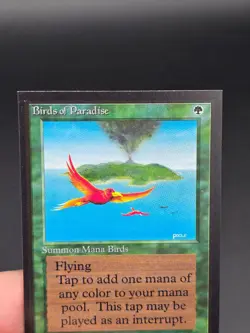 Birds of Paradise - Collector's Edition CE Beta Reprint NM/Mint *CCGHouse* #WM - Image 3