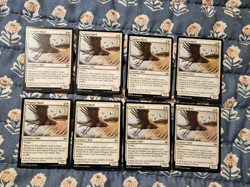 Tempest Hawk - Tarkir Dragonstorm - MTG Magic - Image 1