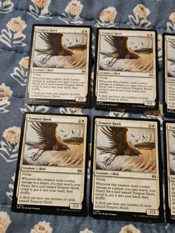 Tempest Hawk - Tarkir Dragonstorm - MTG Magic - Image 2