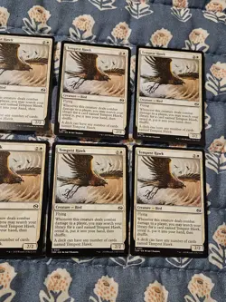 Tempest Hawk - Tarkir Dragonstorm - MTG Magic - Image 3