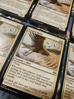 Tempest Hawk - Tarkir Dragonstorm - MTG Magic - Image 5