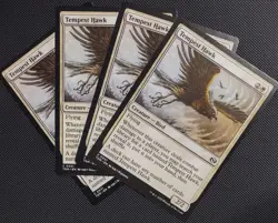 X4 Tempest Hawk Tarkir: Dragonstorm Regular NM Magic The Gathering - Image 1