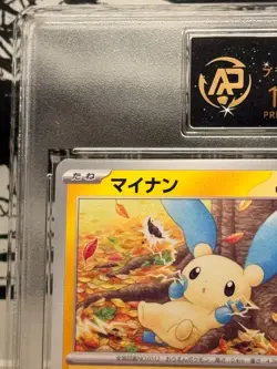 Plusle & Minun SV3a Raging Surf 014/062 & 015/062 RPA 10 Pokemon 2023 Japanese - Image 2