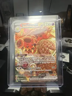 Pokemon TCG Dachsbun EX 169/142 Special Illustration Stellar Crown NM Condition - Image 3