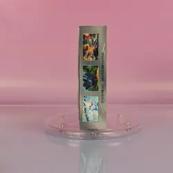 White Flare Pokemon Display Scarlet & Violet 2025 Japanese Original Packaging Sealed 2 - Image 4